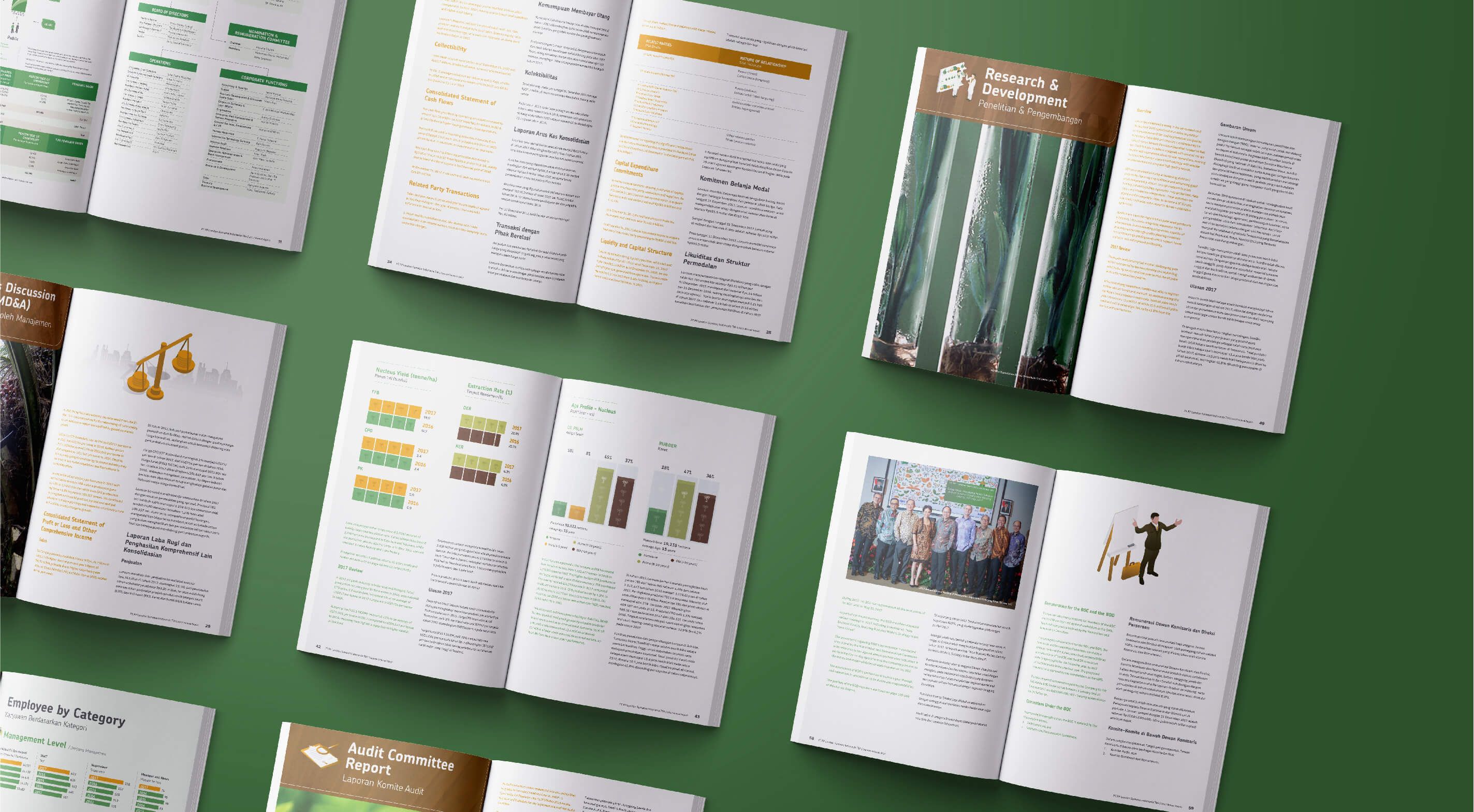 London Sumatra Annual Report 2017