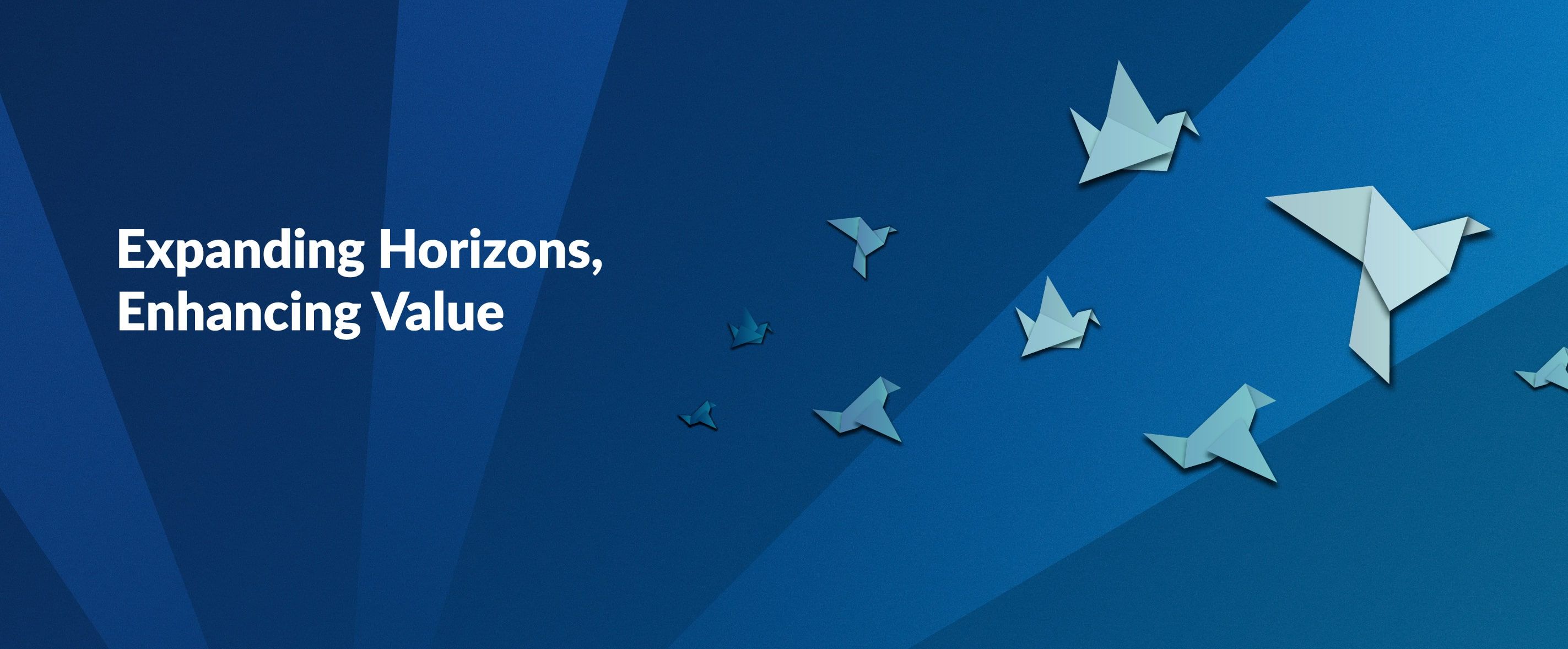 Multipolar Annual Report