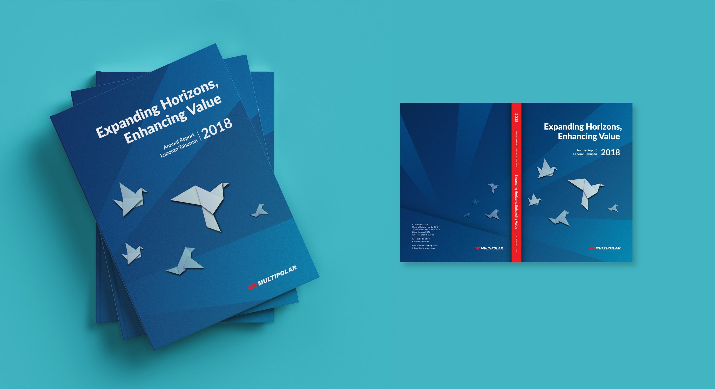 Multipolar Annual Report