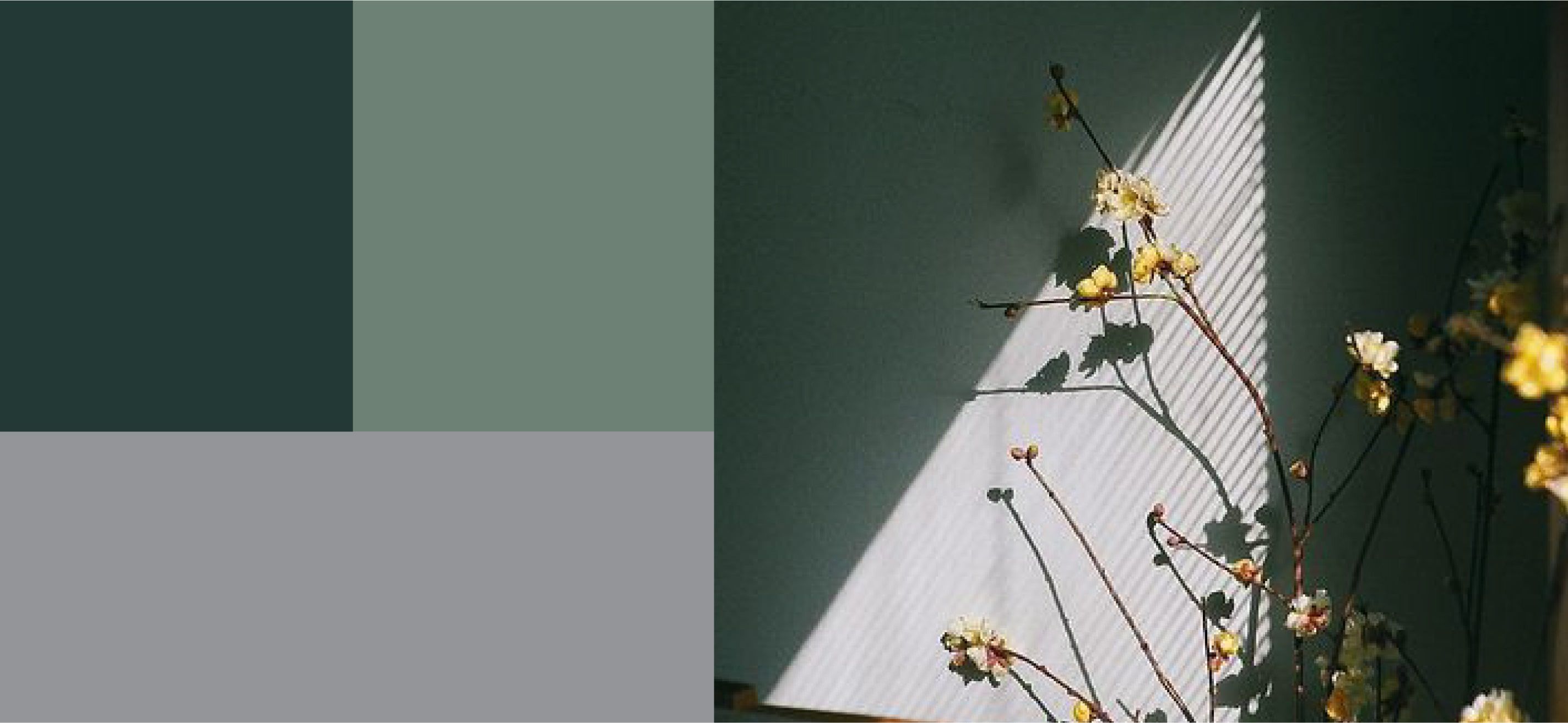 The Springleaf