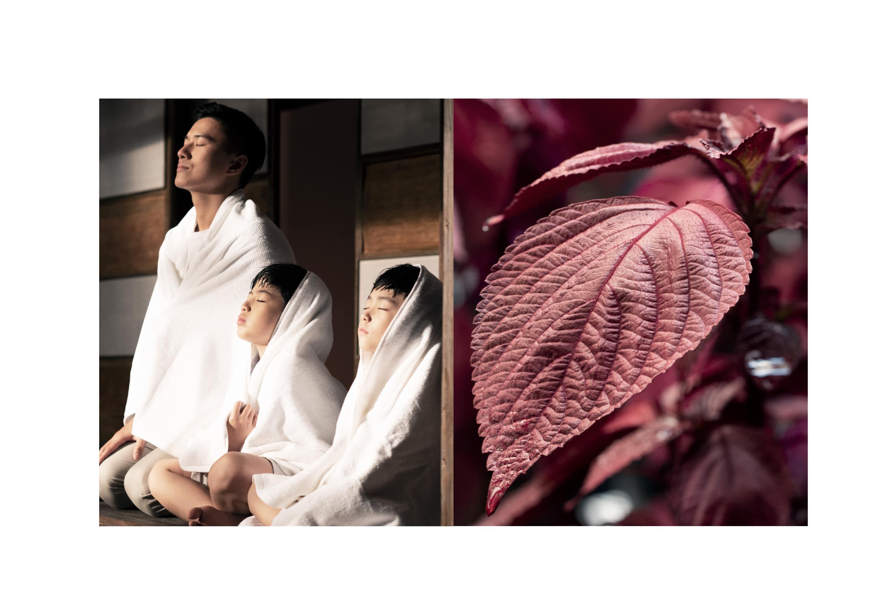 Zen Website